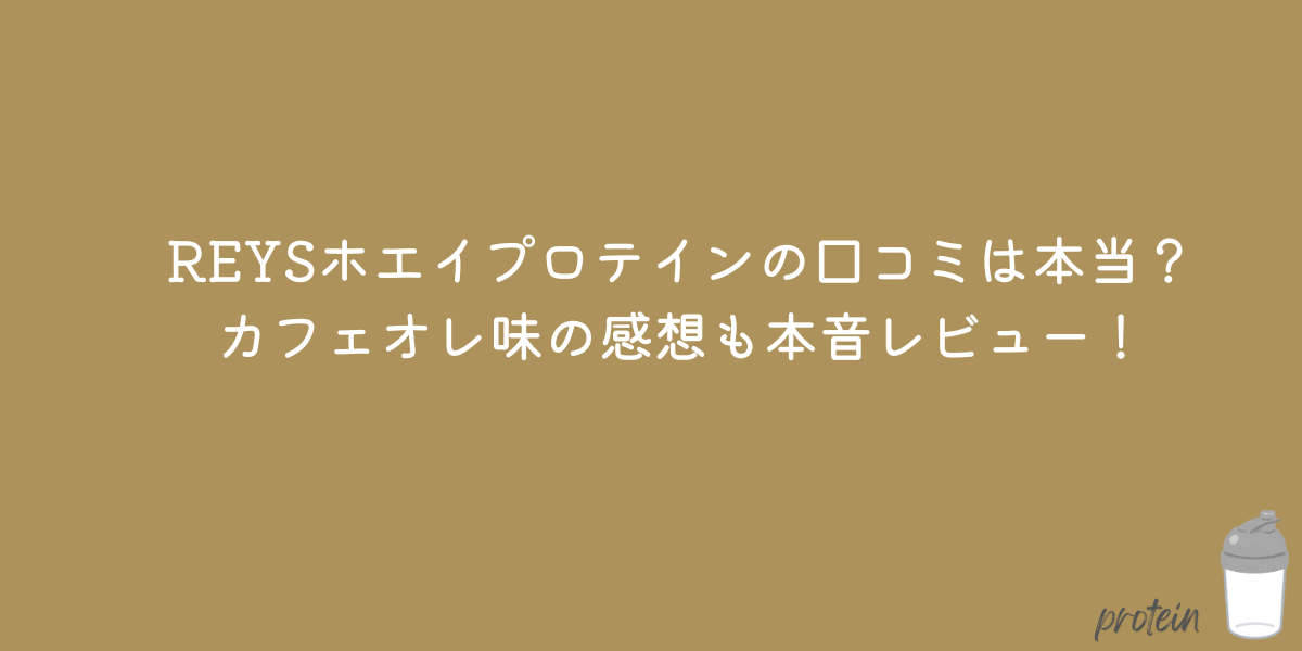 レイズ　プロテイン　口コミ